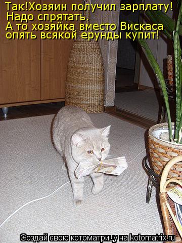 Так!Хозяин получил зарплату! Надо спрятать. А то хозяйка вместо Вискаса опять всякой ерунды купит!... Котоматрица: Так!Хозяин получил зарплату! Надо спрятать. А то хозяйка вместо Вискаса опять всякой ерунды купит!