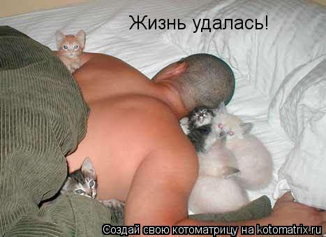 Жизнь удалась!... Котоматрица: Жизнь удалась!