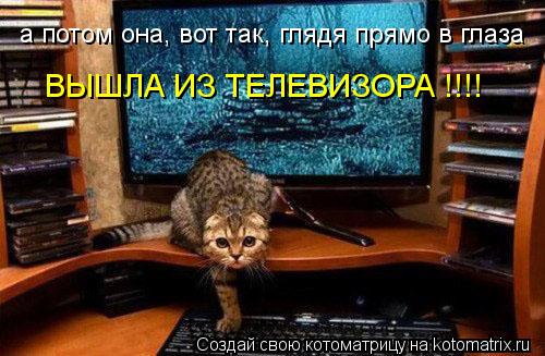 а потом она, вот так, глядя прямо в глаза ВЫШЛА ИЗ ТЕЛЕВИЗОРА !!!!... Котоматрица: а потом она, вот так, глядя прямо в глаза ВЫШЛА ИЗ ТЕЛЕВИЗОРА !!!!