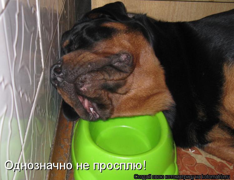 Однозначно не просплю!... Котоматрица: Однозначно не просплю!