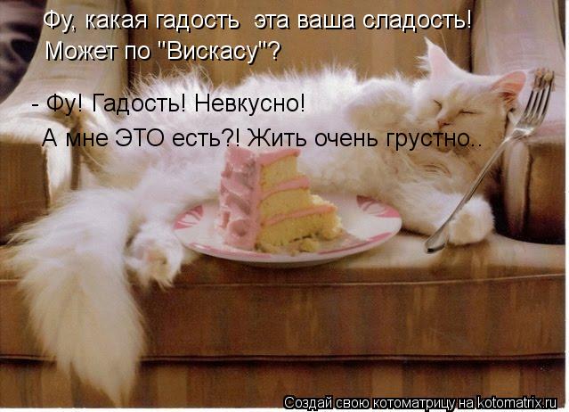 Фу, какая гадость эта ваша сладость! Может по "Вискасу"?? Говорите "Невкусно?!?" Может по "Вискасу"?... Котоматрица: Фу, какая гадость эта ваша сладость! Может по "Вискасу"?? Говорите "Невкусно?!?" Может по "Вискасу"? - Фу! Гадость! Невкусно! А мне ЭТО есть?! Жить