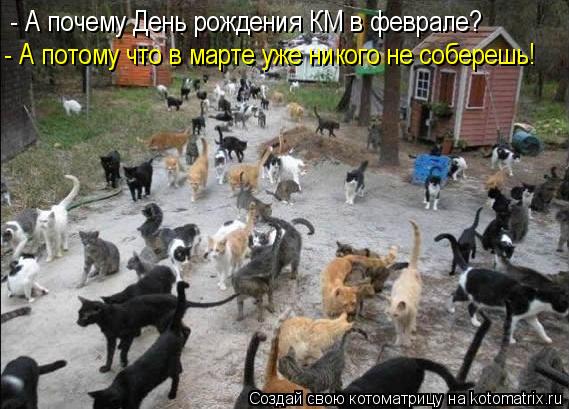 - А почему День рождения КМ в феврале? - А потому что в марте уже никого не соберешь!... Котоматрица: - А почему День рождения КМ в феврале? - А потому что в марте уже никого не соберешь!