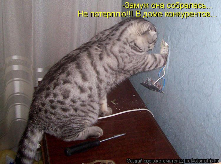 -Замуж она собралась... Не потерплю!!! В доме конкурентов...... Котоматрица: -Замуж она собралась... Не потерплю!!! В доме конкурентов...