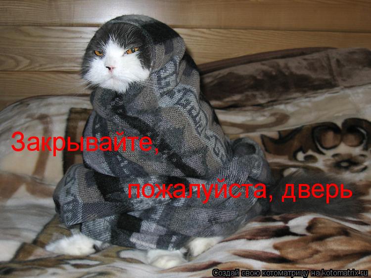 Закрывайте, пожалуйста, дверь... Котоматрица: Закрывайте, пожалуйста, дверь