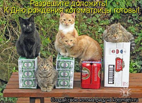К Дню рождения котоматрицы готовы! Разрешите доложить!... Котоматрица: К Дню рождения котоматрицы готовы! Разрешите доложить!