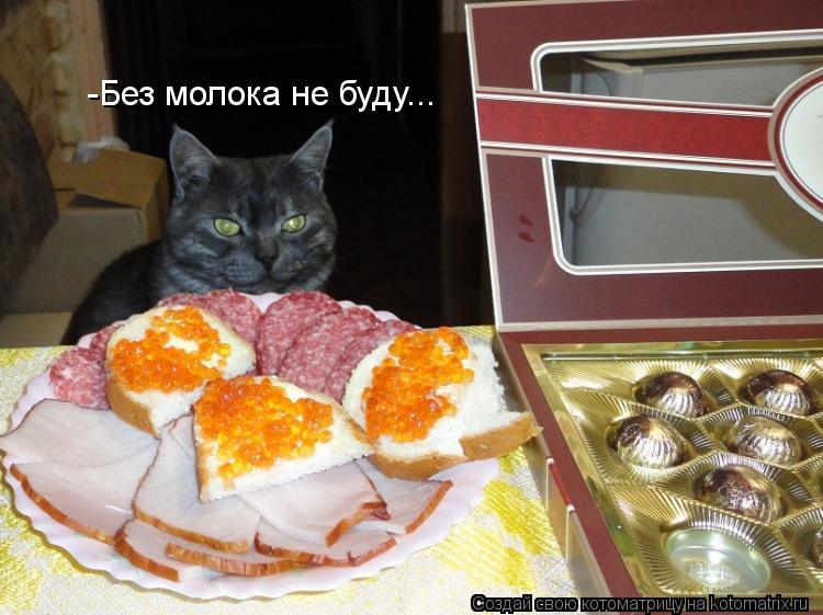 -Без молока не буду...... Котоматрица: -Без молока не буду...
