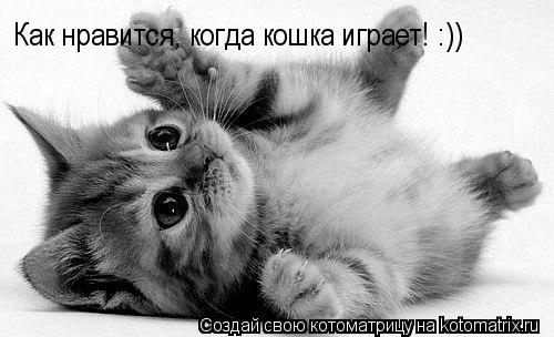 Как нравится, когда кошка играет! :))... Котоматрица: Как нравится, когда кошка играет! :))