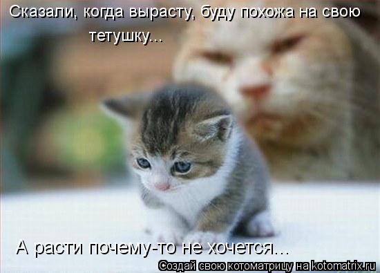 Сказали, когда вырасту, буду похожа на свою тетушку... А расти почему-то не хочется...... Котоматрица: Сказали, когда вырасту, буду похожа на свою тетушку... А расти почему-то не хочется...