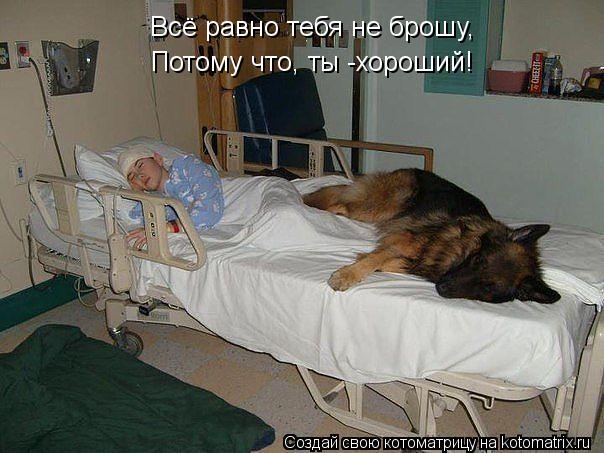 Всё равно тебя не брошу, Потому что, ты -хороший!... Котоматрица: Всё равно тебя не брошу, Потому что, ты -хороший!