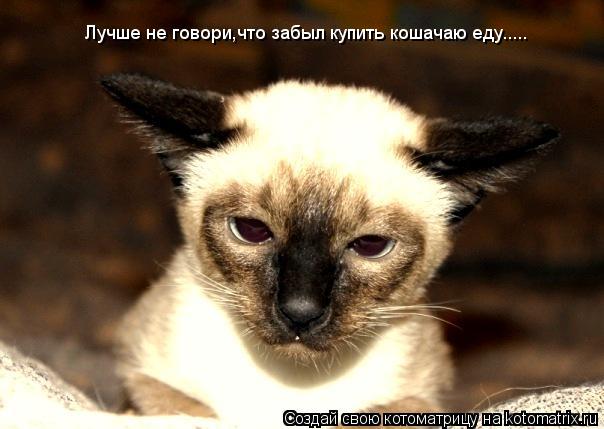 Лучше не говори,что забыл купить кошачаю еду........ Котоматрица: Лучше не говори,что забыл купить кошачаю еду.....
