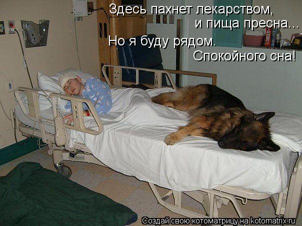 Здесь пахнет лекарством, и пища пресна... Но я буду рядом. Спокойного сна!... Котоматрица: Здесь пахнет лекарством, и пища пресна... Но я буду рядом. Спокойного сна!