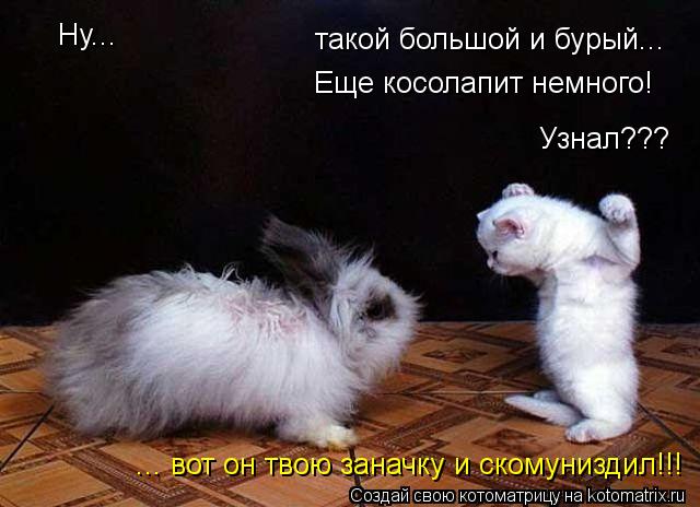 Узнал??? такой большой и бурый... Ну... Еще косолапит немного! ... вот он твою заначку и скомуниздил!... Котоматрица: Узнал??? такой большой и бурый... Ну... Еще косолапит немного! ... вот он твою заначку и скомуниздил!!!