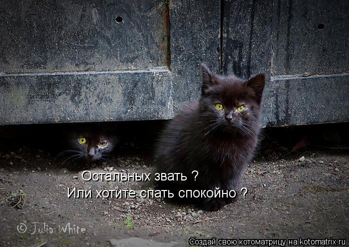 - Остальных звать ? Или хотите спать спокойно ?... Котоматрица: - Остальных звать ? Или хотите спать спокойно ?