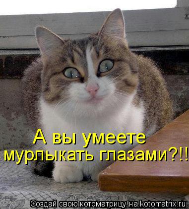 А вы умеете мурлыкать глазами?!!... Котоматрица: А вы умеете мурлыкать глазами?!!