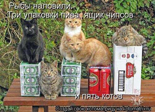 Рыбы наловили... Три упаковки пива, ящик чипсов и пять котов... Котоматрица: Рыбы наловили... Три упаковки пива, ящик чипсов и пять котов
