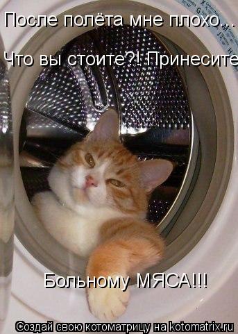 После полёта мне плохо... Что вы стоите?! Принесите Больному МЯСА!!!... Котоматрица: После полёта мне плохо... Что вы стоите?! Принесите Больному МЯСА!!!