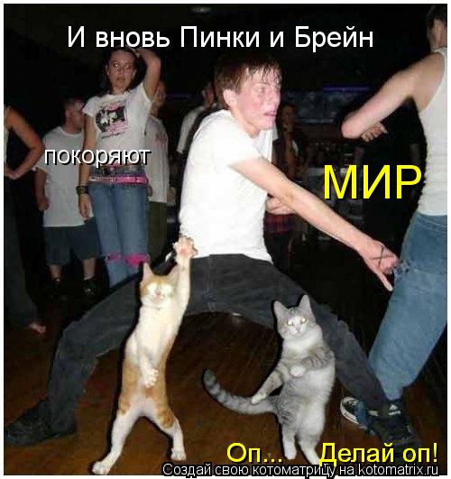 Котоматрица: И вновь Пинки и Брейн покоряют МИР Оп...     Делай оп! Оп...     Делай оп!