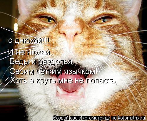 с днюхой!!! И не нюхай, Беды и раздолья Своим чётким язычком! Хоть в круть мне не попасть,... Котоматрица: с днюхой!!! И не нюхай, Беды и раздолья Своим чётким язычком! Хоть в круть мне не попасть,