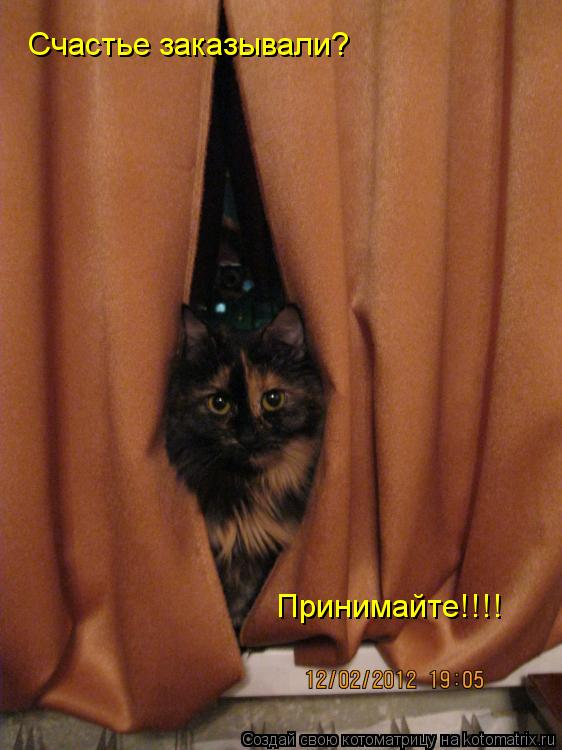 Счастье заказывали? Принимайте!!!!... Котоматрица: Счастье заказывали? Принимайте!!!!