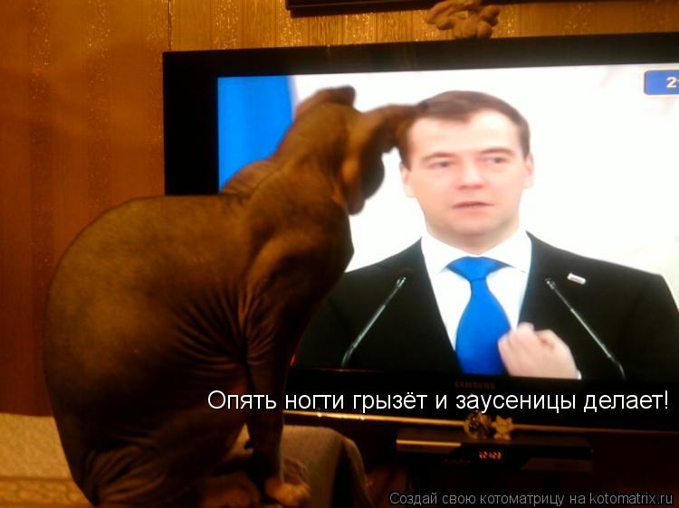 Опять ногти грызёт и заусеницы делает!... Котоматрица: Опять ногти грызёт и заусеницы делает!