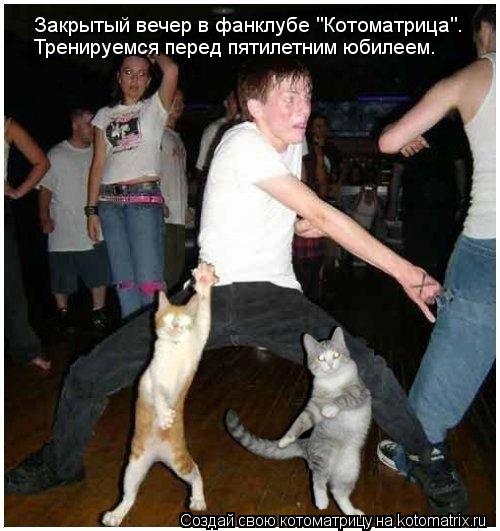 Закрытый вечер в фанклубе "Котоматрица". Тренируемся перед пятилетним юбилеем.... Котоматрица: Закрытый вечер в фанклубе "Котоматрица". Тренируемся перед пятилетним юбилеем.