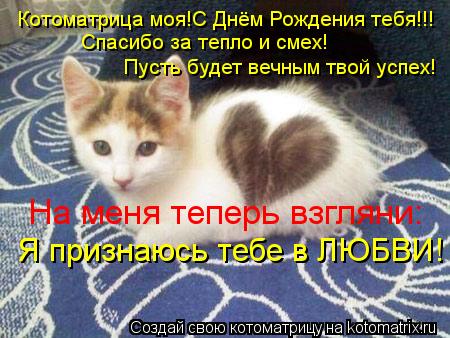 Котоматрица моя!С Днём Рождения тебя!!! Спасибо за тепло и смех! Пусть будет вечным твой успех! На ме... Котоматрица: Котоматрица моя!С Днём Рождения тебя!!! Спасибо за тепло и смех! Пусть будет вечным твой успех! На меня теперь взгляни: Я признаюсь тебе в ЛЮБ