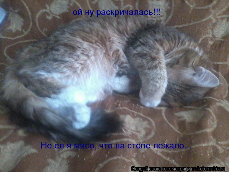 ой ну раскричалась!!! Не ел я мясо, что на столе лежало...... Котоматрица: ой ну раскричалась!!! Не ел я мясо, что на столе лежало...