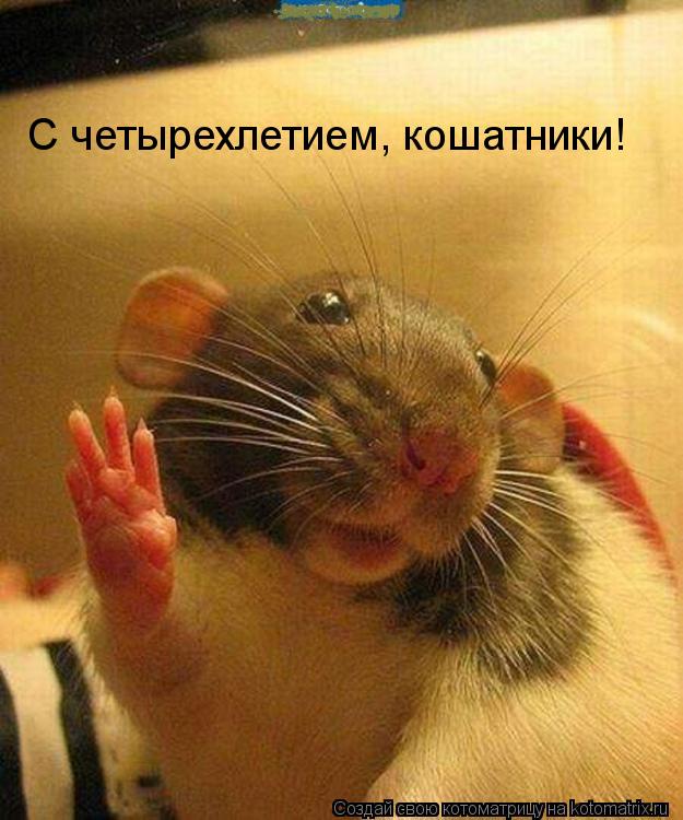 С четырехлетием, кошатники!... Котоматрица: С четырехлетием, кошатники!