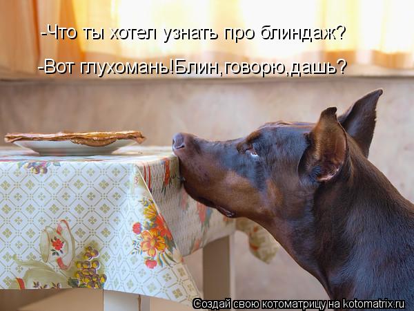 -Что ты хотел узнать про блиндаж? -Вот глухомань!Блин,говорю,дашь?... Котоматрица: -Что ты хотел узнать про блиндаж? -Вот глухомань!Блин,говорю,дашь?