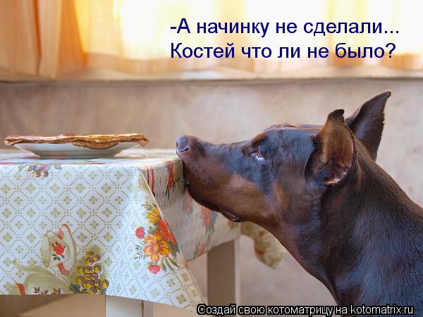 -А начинку не сделали... Костей что ли не было?... Котоматрица: -А начинку не сделали... Костей что ли не было?