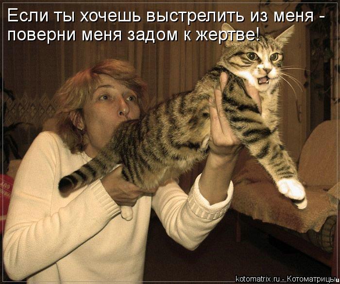 Если ты хочешь выстрелить из меня - поверни меня задом к жертве!... Котоматрица: Если ты хочешь выстрелить из меня - поверни меня задом к жертве!