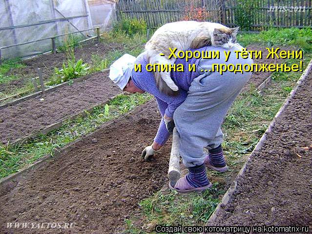 и спина и ...продолженье! - Хороши у тёти Жени... Котоматрица: и спина и ...продолженье! - Хороши у тёти Жени