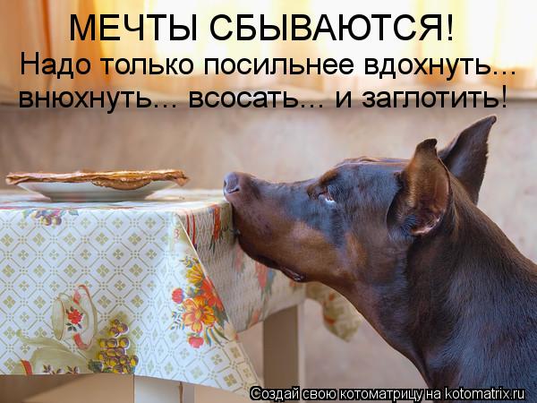 МЕЧТЫ СБЫВАЮТСЯ! Надо только посильнее вдохнуть... внюхнуть... всосать... и заглотить!... Котоматрица: МЕЧТЫ СБЫВАЮТСЯ! Надо только посильнее вдохнуть... внюхнуть... всосать... и заглотить!