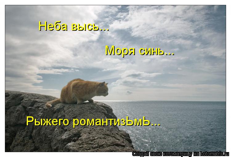 Неба высь... Моря синь... Рыжего романтизЬмЬ...... Котоматрица: Неба высь... Моря синь... Рыжего романтизЬмЬ...