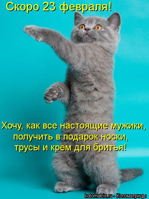 Скоро 23 февраля! Хочу, как все настоящие мужики, получить в подарок носки, трусы и крем для бритья... Котоматрица: Скоро 23 февраля! Хочу, как все настоящие мужики, получить в подарок носки, трусы и крем для бритья!