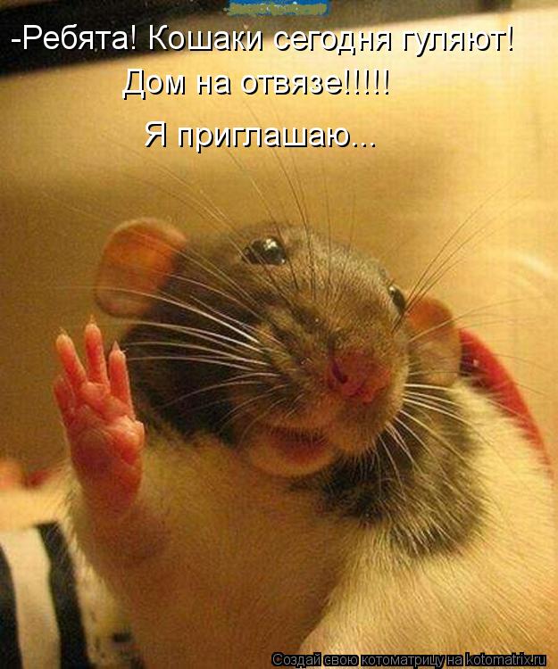 -Ребята! Кошаки сегодня гуляют! Дом на отвязе!!!!! Я приглашаю...... Котоматрица: -Ребята! Кошаки сегодня гуляют! Дом на отвязе!!!!! Я приглашаю...
