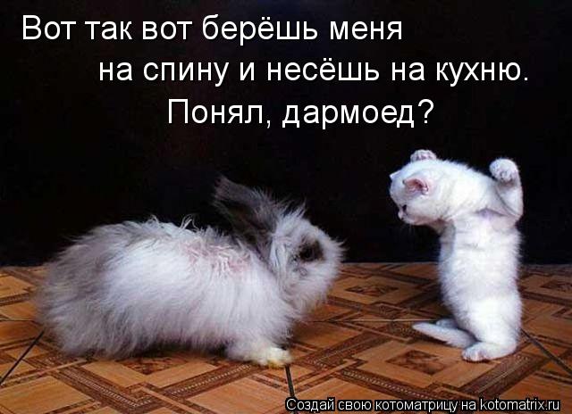 Вот так вот берёшь меня на спину и несёшь на кухню. Понял, дармоед?... Котоматрица: Вот так вот берёшь меня на спину и несёшь на кухню. Понял, дармоед?