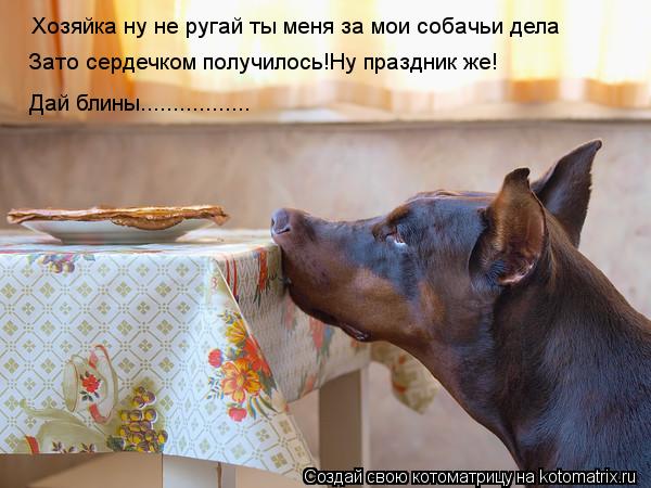 Хозяйка ну не ругай ты меня за мои собачьи дела Зато сердечком получилось!Ну праздник же! Дай блины..... Котоматрица: Хозяйка ну не ругай ты меня за мои собачьи дела Зато сердечком получилось!Ну праздник же! Дай блины.................
