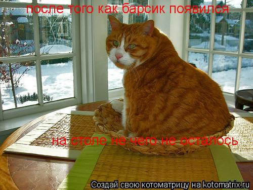 после того как барсик появился на столе не чего не осталось... Котоматрица: после того как барсик появился на столе не чего не осталось