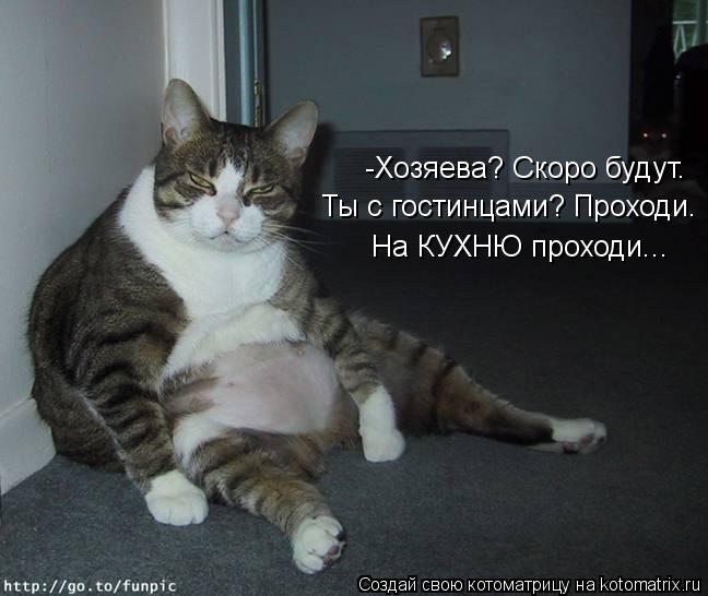 -Хозяева? Скоро будут. Ты с гостинцами? Проходи. На КУХНЮ проходи...... Котоматрица: -Хозяева? Скоро будут. Ты с гостинцами? Проходи. На КУХНЮ проходи...