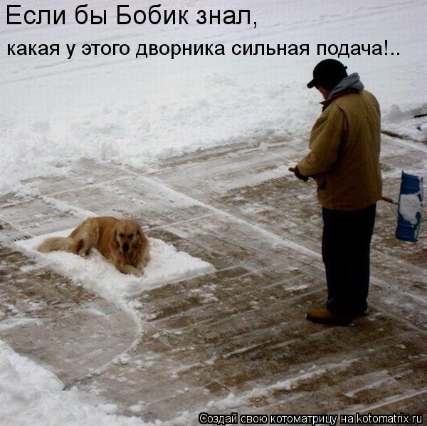Если бы Бобик знал, какая у этого дворника сильная подача!..... Котоматрица: Если бы Бобик знал, какая у этого дворника сильная подача!..