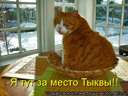 -Я тут за место Тыквы!!... Котоматрица: -Я тут за место Тыквы!!