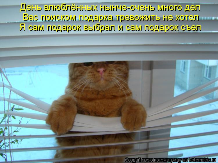 День влюблённых нынче-очень много дел Вас поиском подарка тревожить не хотел Я сам подарок выбрал и с... Котоматрица: День влюблённых нынче-очень много дел Вас поиском подарка тревожить не хотел Я сам подарок выбрал и сам подарок съел