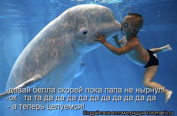 -давай белла скорей пока папа не нырнул! -ок та та да да да да да да да да да да - а теперь целуем... Котоматрица: -давай белла скорей пока папа не нырнул! -ок та та да да да да да да да да да да - а теперь целуемся!
