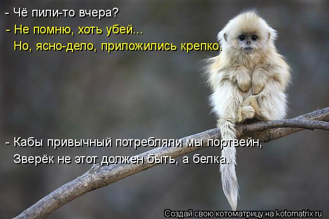 - Чё пили-то вчера? - Не помню, хоть убей... Но, ясно-дело, приложились крепко. - Кабы привычный потр... Котоматрица: - Чё пили-то вчера? - Не помню, хоть убей... Но, ясно-дело, приложились крепко. - Кабы привычный потребляли мы портвейн, Зверёк не этот должен быт