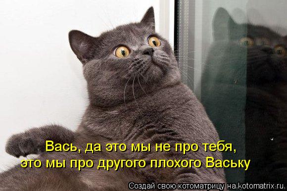 Вась, да это мы не про тебя, это мы про другого плохого Ваську... Котоматрица: Вась, да это мы не про тебя, это мы про другого плохого Ваську