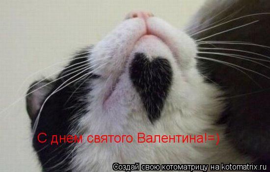 С днем святого Валентина!=)... Котоматрица: С днем святого Валентина!=)