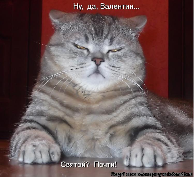 Ну, да, Валентин... Святой? Почти!... Котоматрица: Ну, да, Валентин... Святой? Почти!