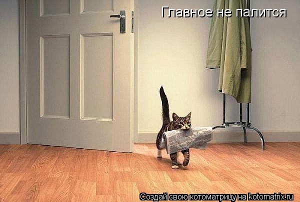 Главное не палится... Котоматрица: Главное не палится