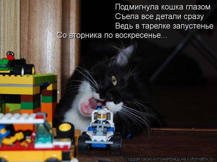Подмигнула кошка глазом Съела все детали сразу Ведь в тарелке запустенье Со вторника по воскресенье..... Котоматрица: Подмигнула кошка глазом Съела все детали сразу Ведь в тарелке запустенье Со вторника по воскресенье...